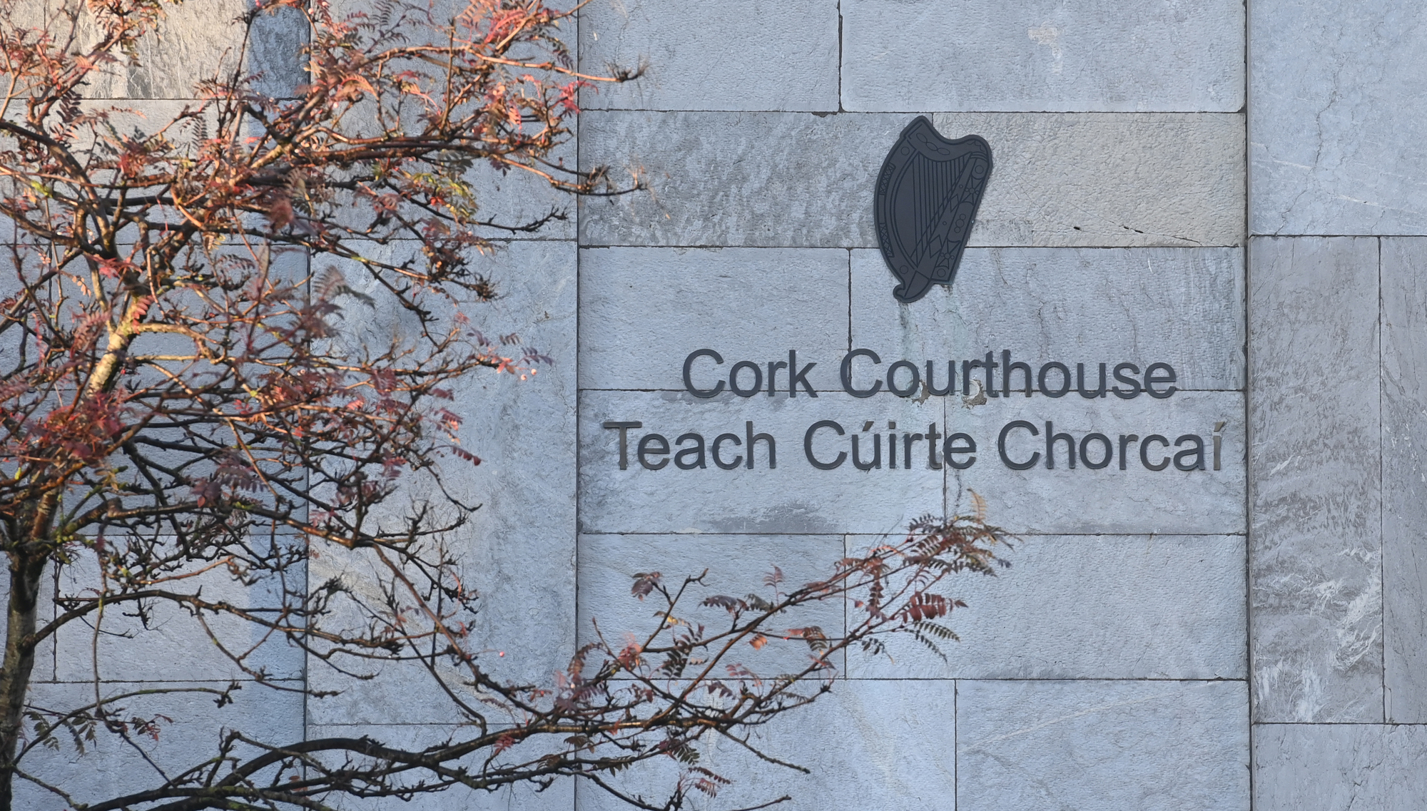 'That was not my son', mother of man who breached barring order tells court