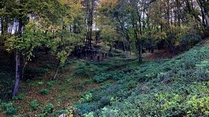 <p>The Hawthorn Ridge crater near the village of Beaumont Hamel in France (Hawthorn Ridge Crater Association/PA)</p>