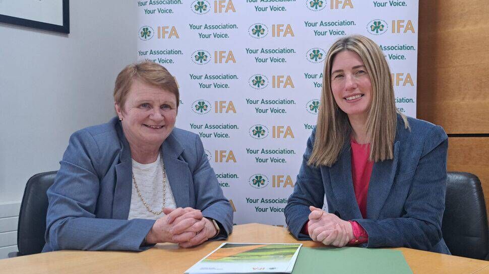Teresa Roche from Co Galway succeeds Alice Doyle as the IFA's farm family and social affairs committee chairwoman. Teresa Roche from Co Galway succeeds Alice Doyle as the IFA's farm family and social affairs committee chairwoman.