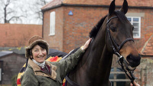 <p>KNIGHT'S TALE: Henrietta Knight admits to feeling nervous ahead of her return to the training ranks. 	Picture: David Davies/PA </p>