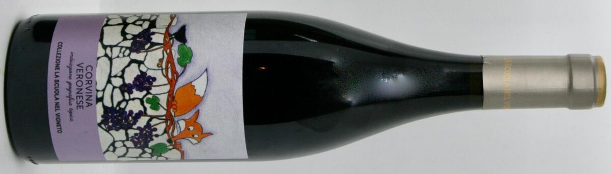 Corvina Veronese Corvina Veronese