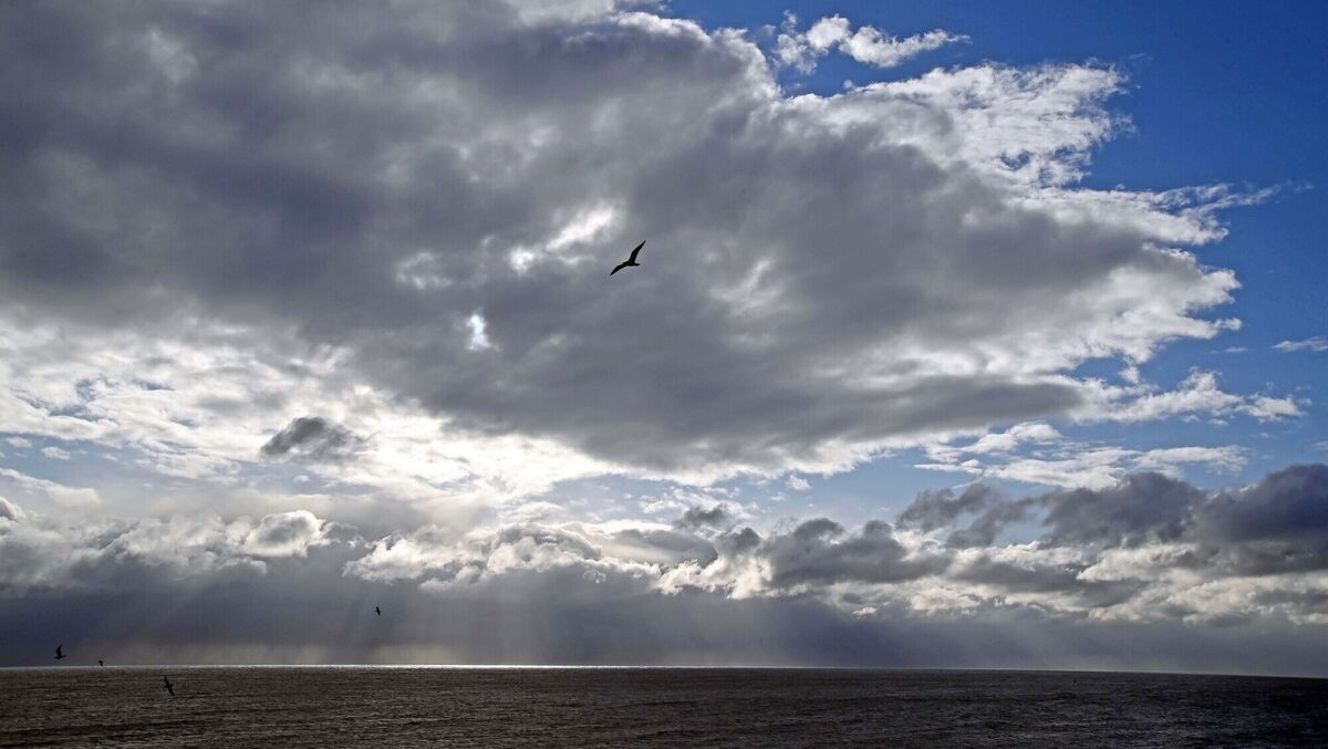 “The ocean is the key to telling us what’s happening to the world and the data is painting a compelling picture of warming year after year after year,” said Professor John Abraham at the University of St Thomas in Minnesota, part of the team that produced the new data. File picture: Denis Minihane