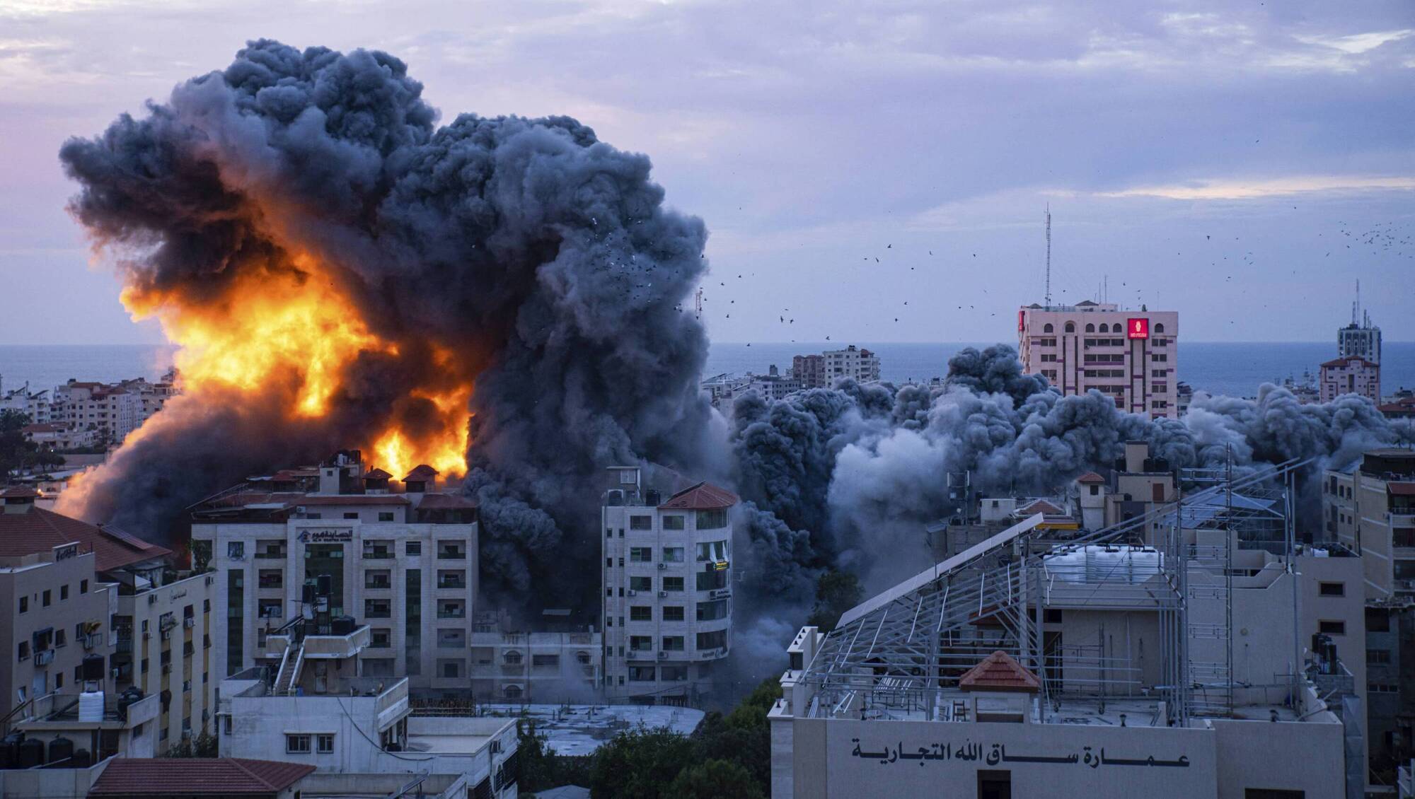 Ireland must persuade EU and US to implement court's ruling if genocide in Gaza is proven