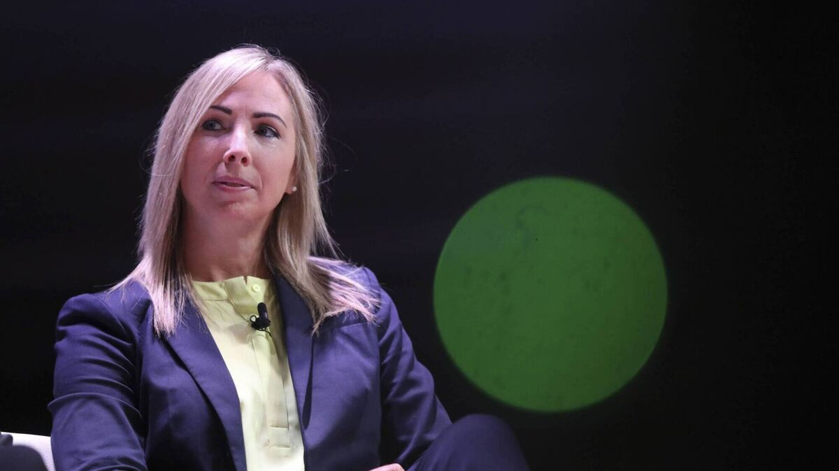 Helen Dixon bemoans 'clunky' EU law delaying big tech probes - Vimarsana News