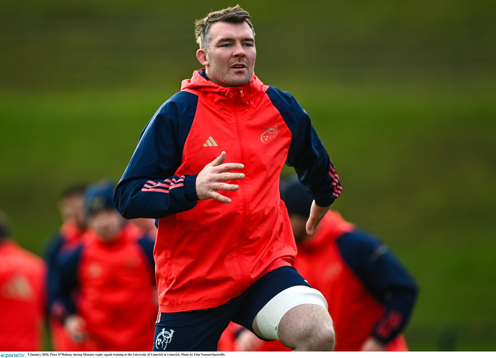 Team news: Munster trio O'Mahony, Nankivell and Scannell fit to start crunch Toulon tie