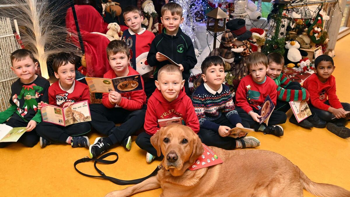 Deano the dog helps schoolchildren with trauma, autism, and ADHD - Vimarsana News