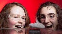 550 projects make it through to Young Scientist Exhibition