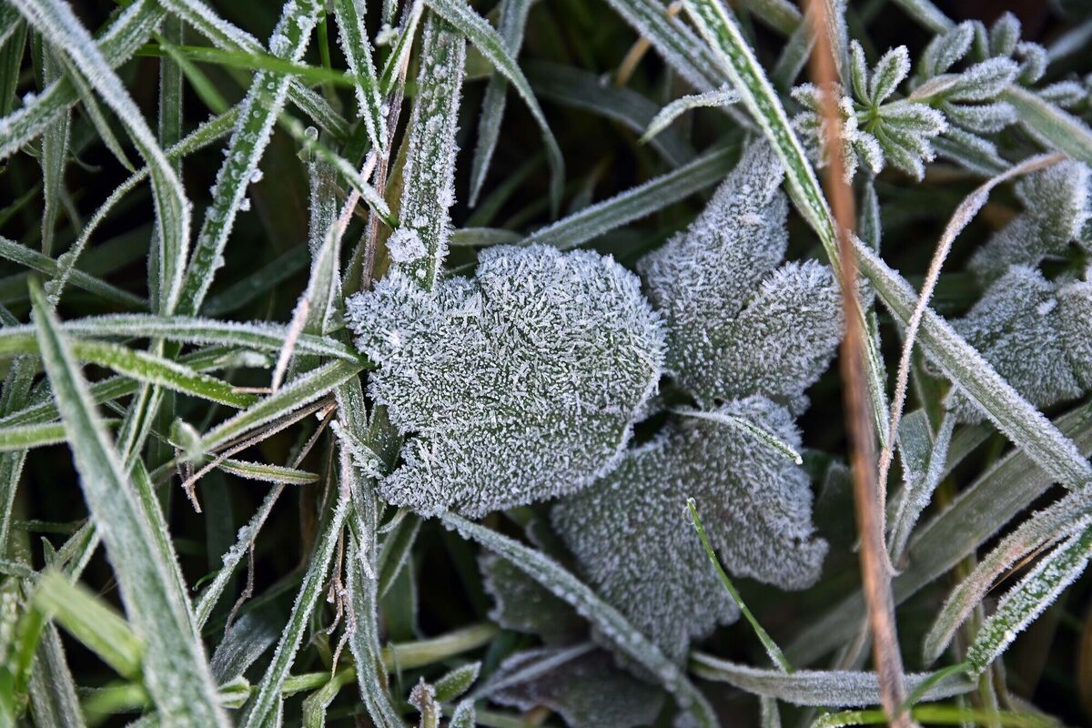 Falling temperatures are expected over the next few days. File picture: Denis Minihane