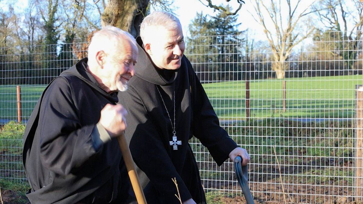 The 100 Million Trees Project at Glenstal Abbey. Picture: Bailey &amp; Blake