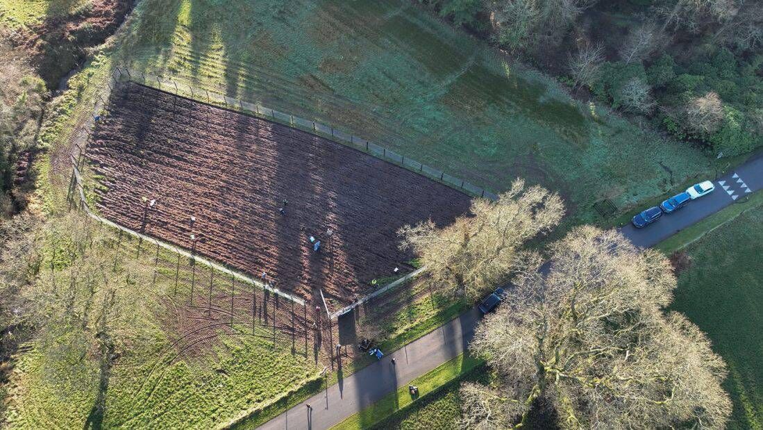 2,500 trees planted at Glenstal Abbey, Murroe, County Limerick include Birch Pendula, Oak, Alder Malus Sylvestris, Prunus Avium, Prunus Padus, Spindle, Sorbus Aria, Sorbus Acuparia, Cratageus Monogyna, Prunus Spinosa, Hazel, Viburnum Opulus, and Rosa Canina. Picture: Bailey &amp; Blake