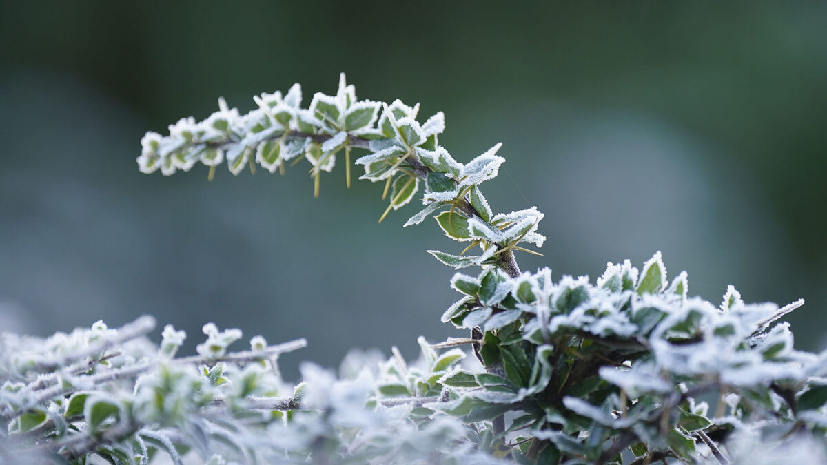 Met Éireann has forecast a week of very cold temperatures, with rain at the weekend.  Picture: Niall Carson/PA