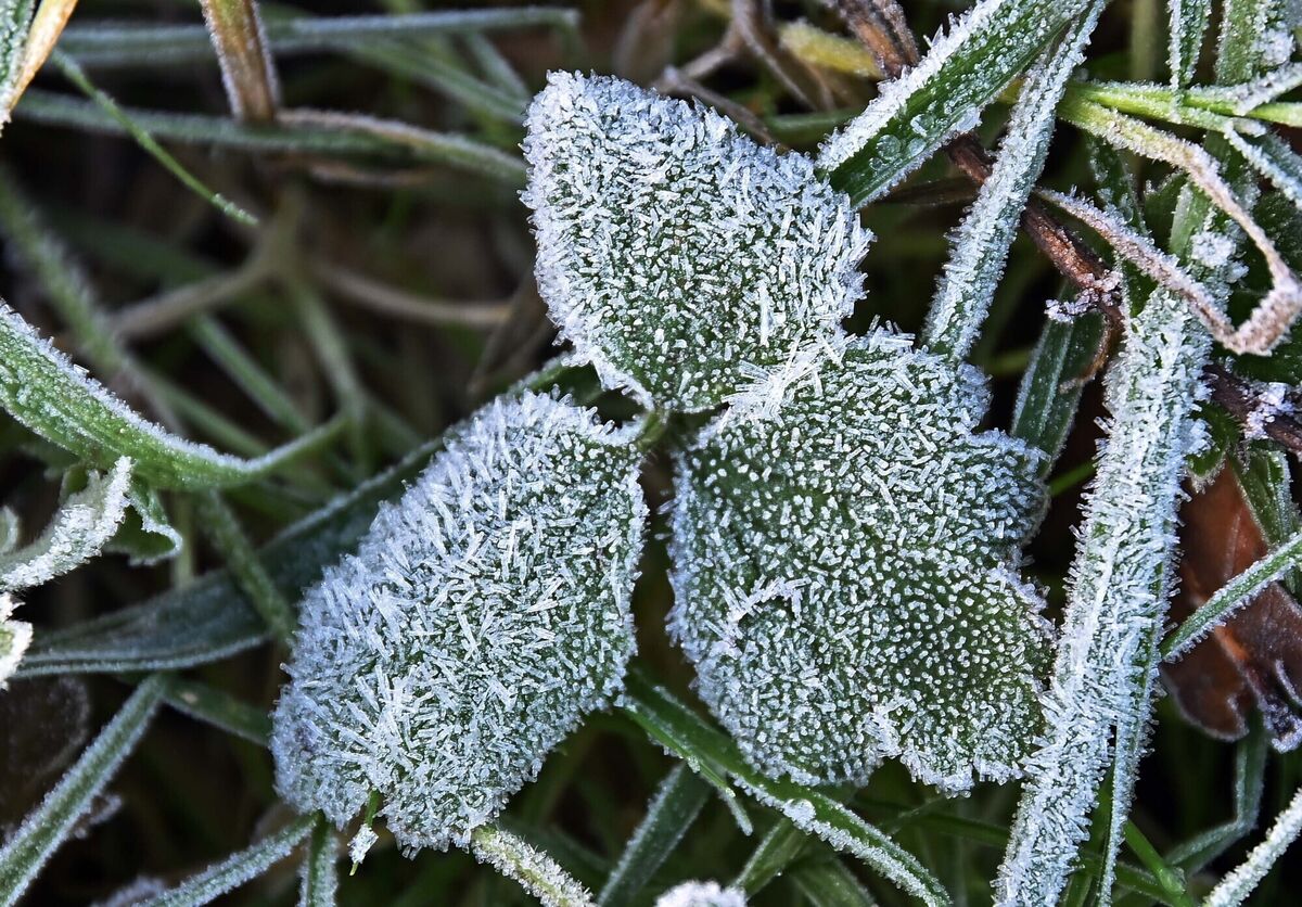 Wednesday will be "a bitterly cold day with frost, ice, fog and freezing fog at first leading to hazardous travelling conditions," Met Éireann said. Picture: Denis Minihane.