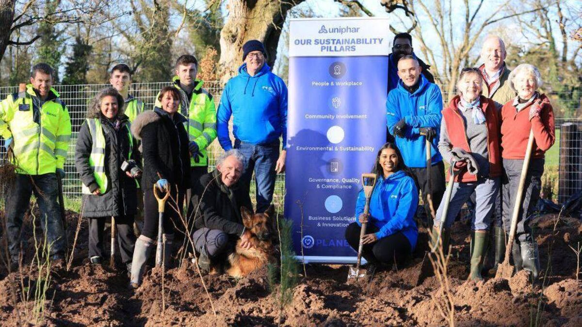 Planting 100 million native trees over the next 10 years - Vimarsana News