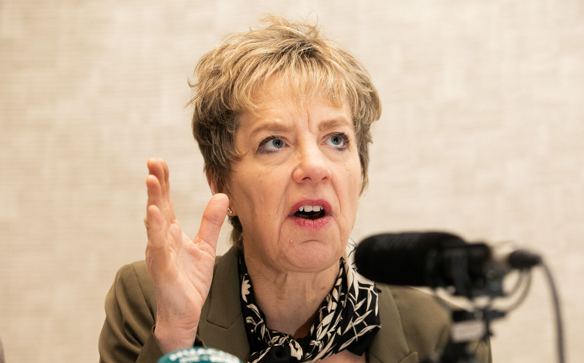 Leader of the Labour Party, Ivana Bacik, has been campaigning for the removal of Article 41.2’s “sexist” language for years. Photo: Gareth Chaney/Collins