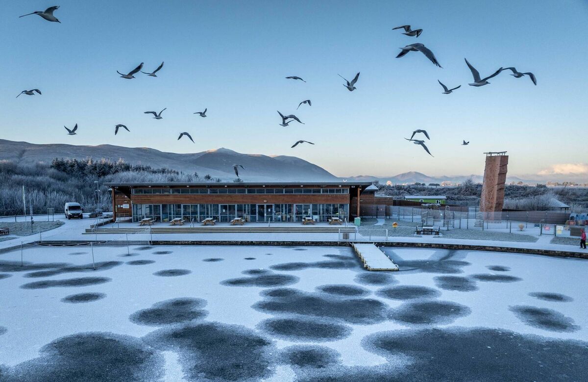Tralee wetlands transformed into a winter wonderland, blanketed in snow with the pond frozen as the temp was -6c in Tralee over night . Picture: Domnick Walsh © Eye Focus LTD 