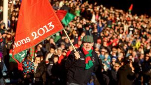 <p>St. Brigid's fan Donie Himrock celebrates after the semi-final win over Castlehaven.</p>