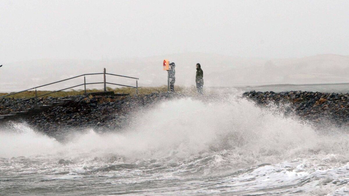 Red alert issued for three counties as Storm Isha makes its way across country - Vimarsana News