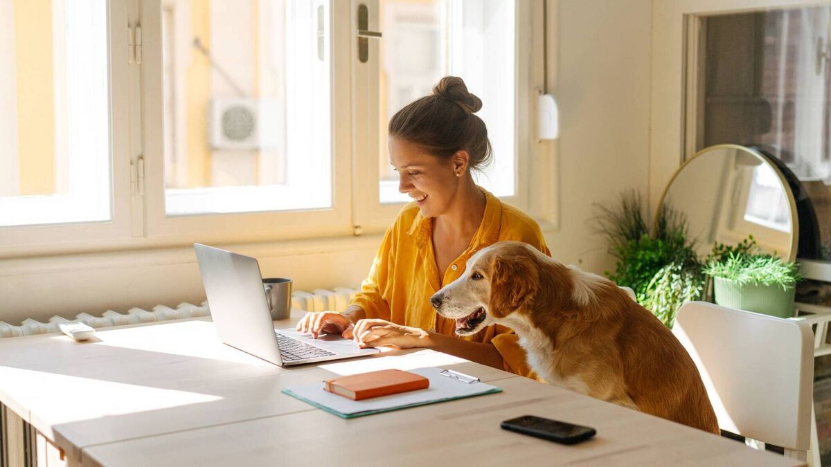 Flexibility, childcare, collaboration: The pros and cons of returning to the office - Vimarsana News