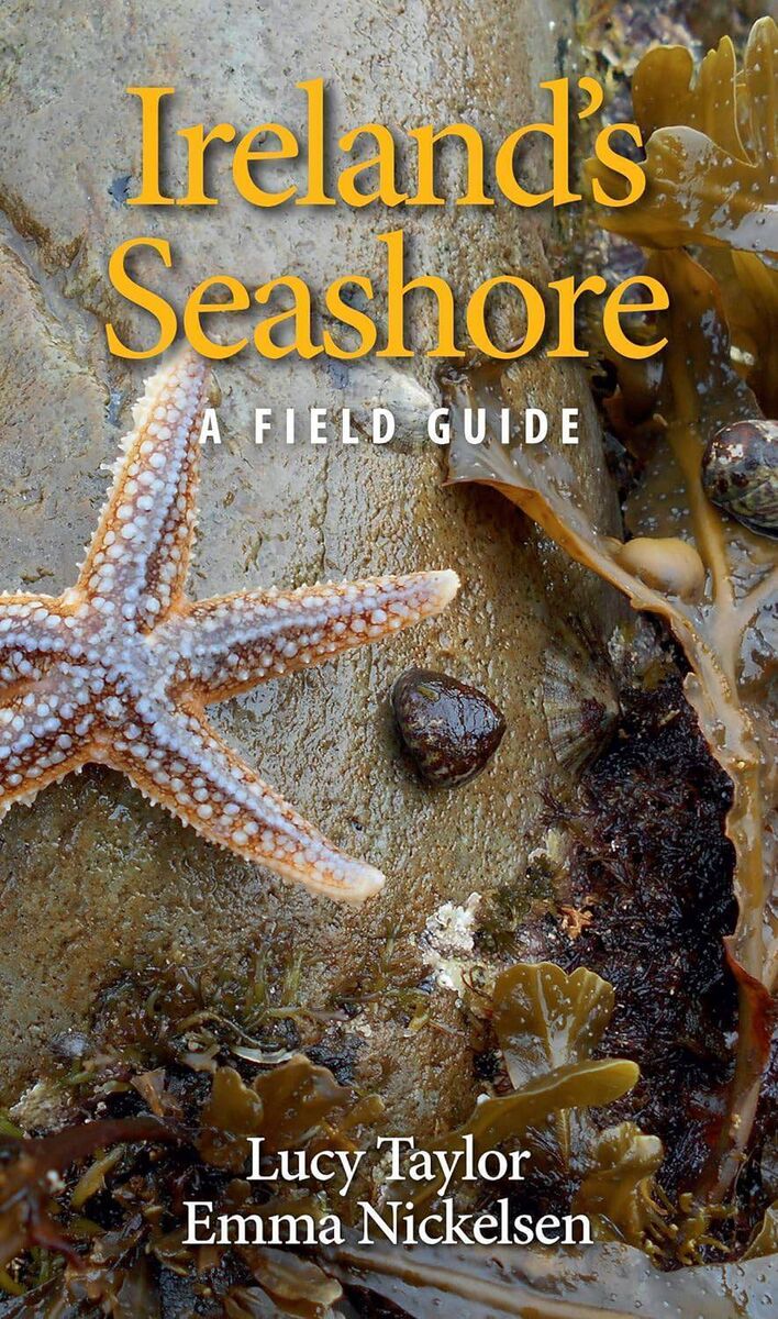 Ireland's Seashore: A Field Guide, by Lucy Taylor and Emma Nickelsen