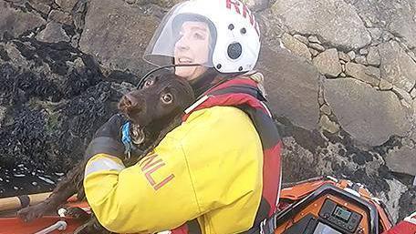 Charlie in the arms of volunteer Laura Jackson.