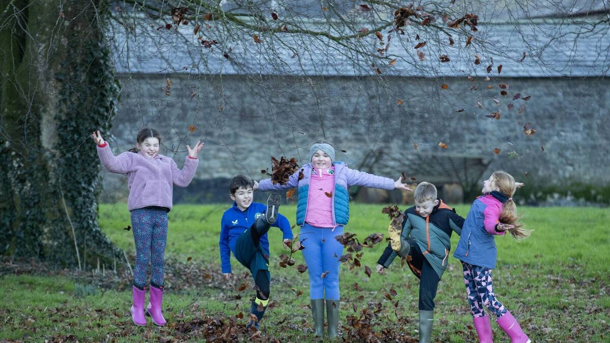 WOW on Wednesday for Embrace FARM - Vimarsana News