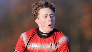 <p>DOUBLE TROUBLE: Glenstal's Riain Concannon Mandatory Credit ©INPHO/Laszlo Geczo</p>