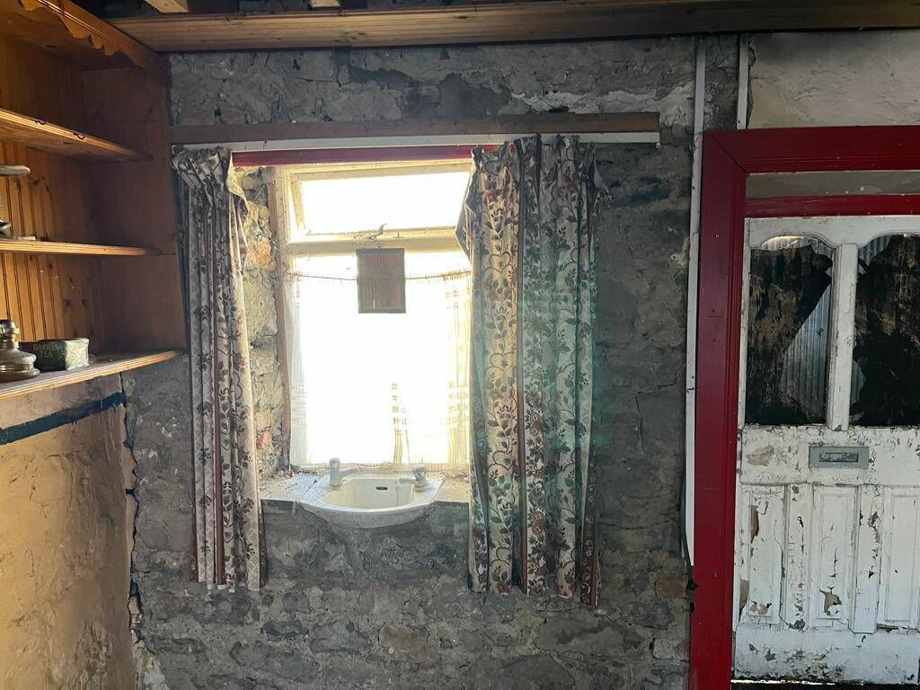 The six houses on Francis St that were the subject of the protests were surveyed and asbestos was found in the roof slates, which will require specialist removal during the demolition phase. Picture: Clare Colleran Molloy