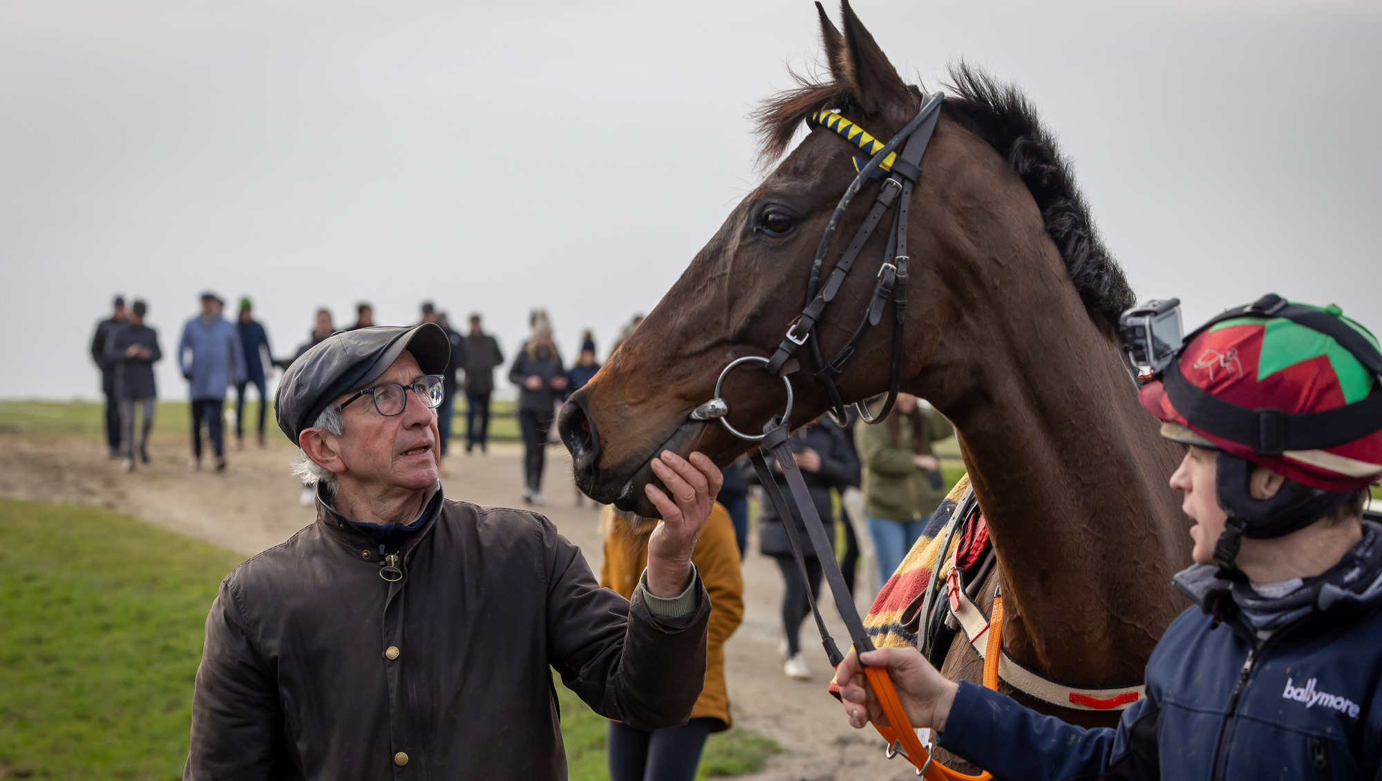 Martin Brassil: I never thought I'd have a Gold Cup horse