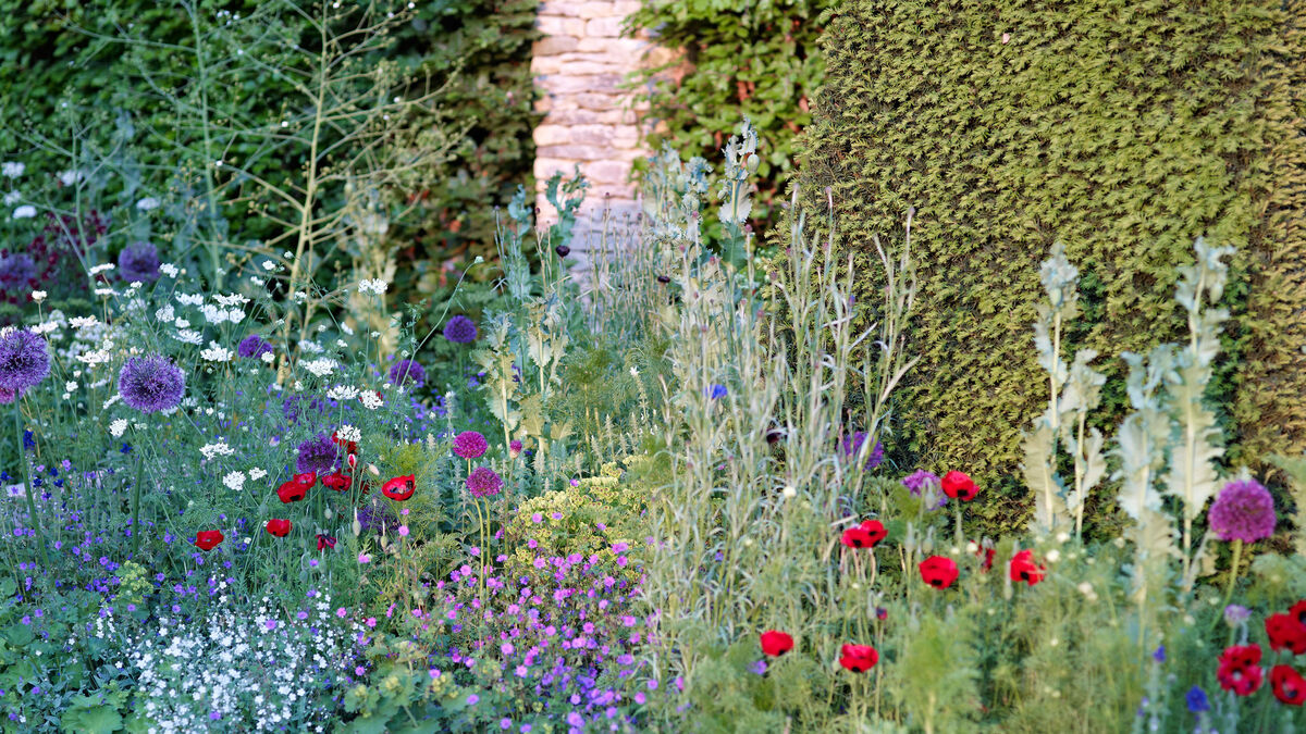 What is a low-carbon garden and how can we create one? - Vimarsana News