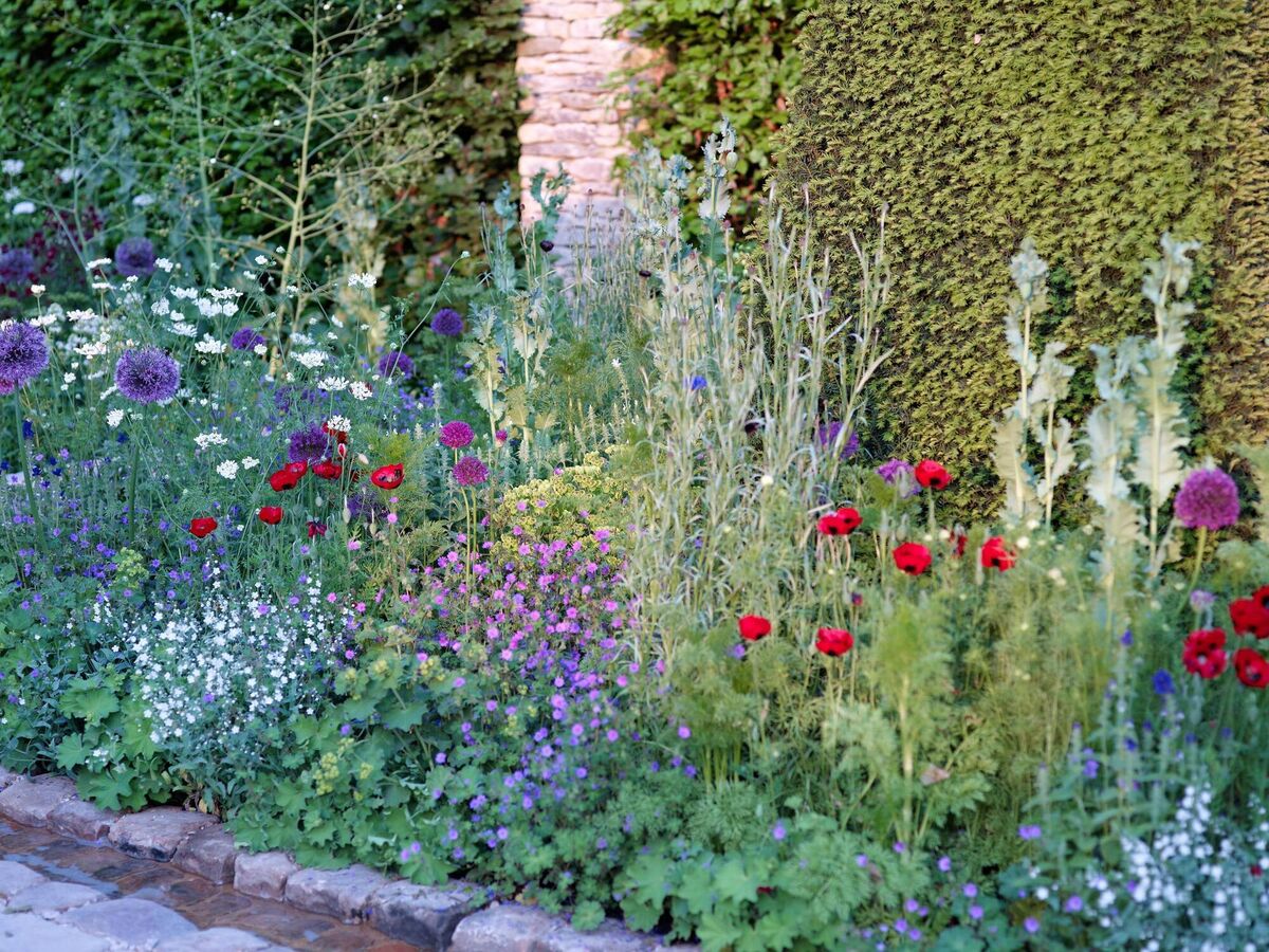 A densely planted border. Picture: Alamy/PA A densely planted border. Picture: Alamy/PA