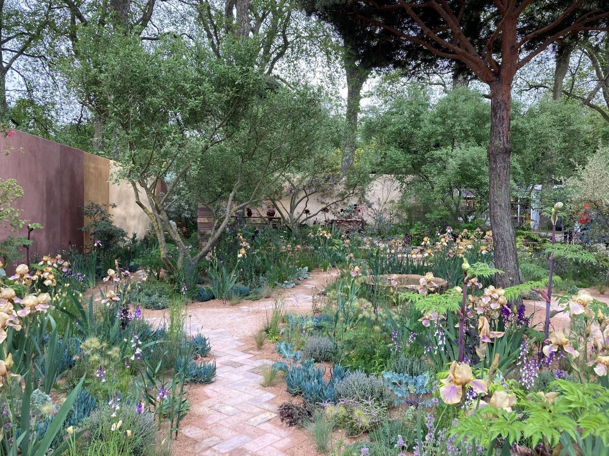 This eco-friendly garden featured at RHS Chelsea Flower Show last in 2023. This eco-friendly garden featured at RHS Chelsea Flower Show last in 2023.