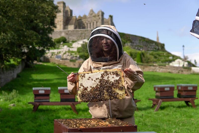 Cashel Palace have their own bee hives Cashel Palace have their own bee hives