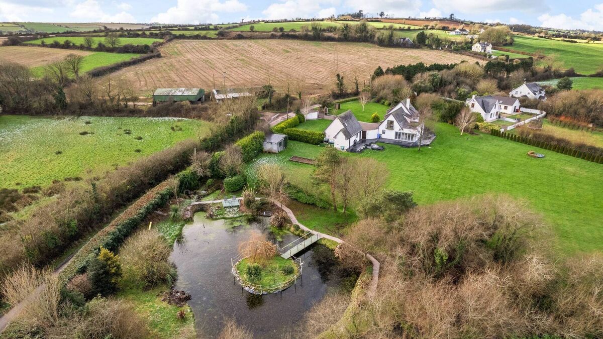 Get your ducks in a row for €650k East Cork home with wildlife pond - Vimarsana News