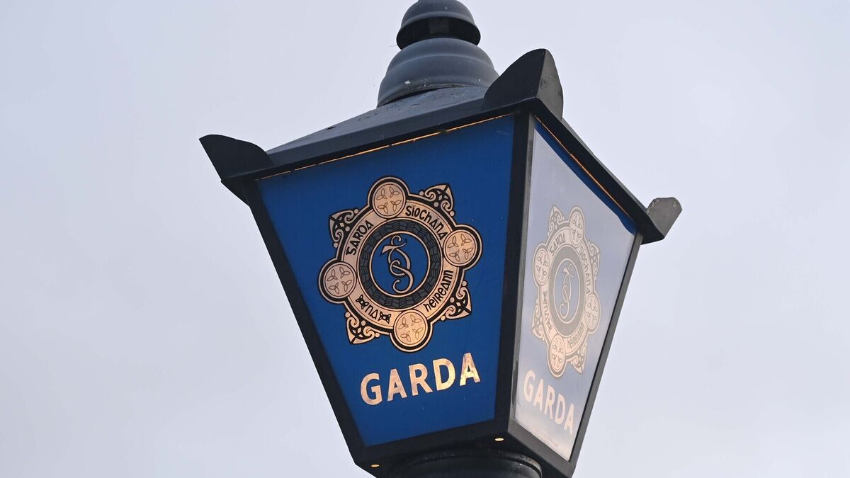 Gardaí investigate reports of cruelty towards dogs and a horse near centre of Killarney - Vimarsana News