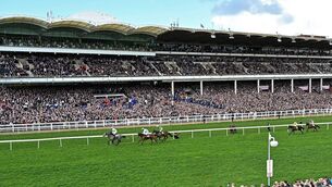 <p>Jockey Paul Townend riding Lossiemouth leads the pack to win the JCB Triumph Hurdle race on the final day of the Cheltenham Festival. Pic: GLYN KIRK, AFP via Getty Images</p>