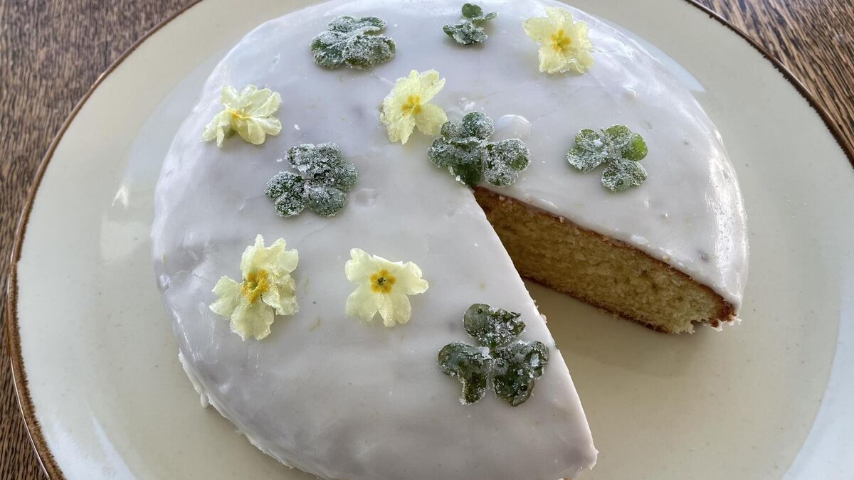 Darina Allen: How to make a Saint Brigid's Day cake to celebrate the start of spring - Vimarsana News