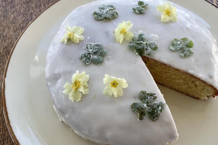 Saint Brigid’s Day Cake with Crystallised Primroses and Wood Sorrell
