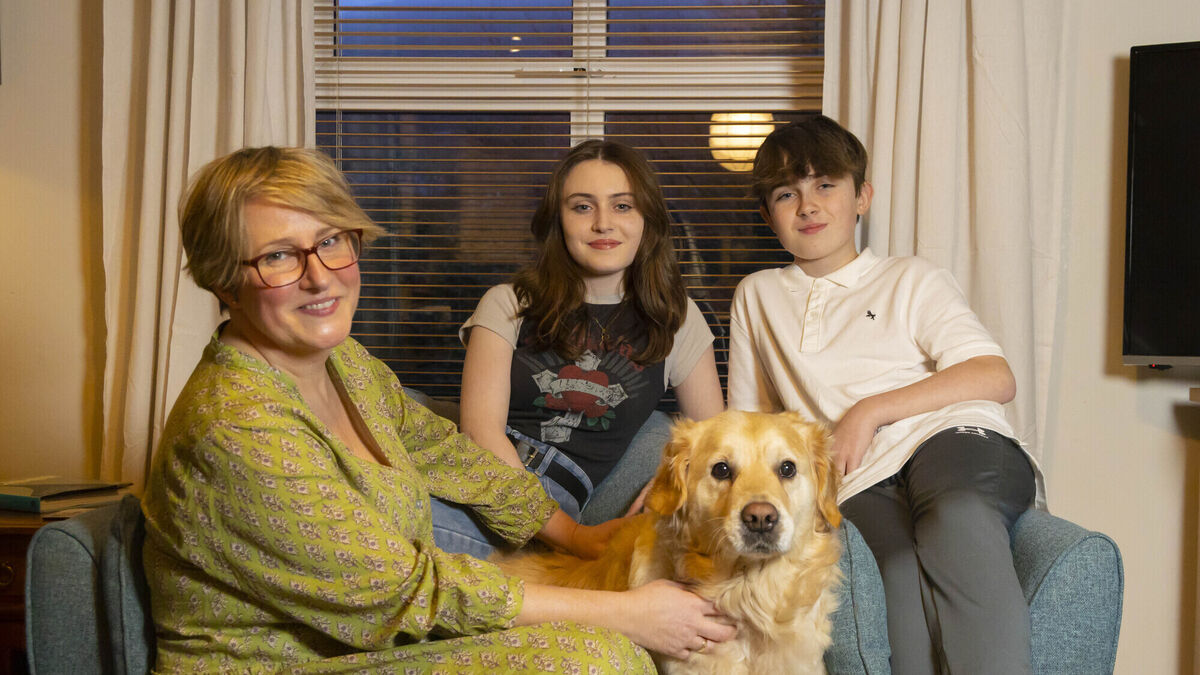 How having a pet can benefit children and teach skills for life - Vimarsana News