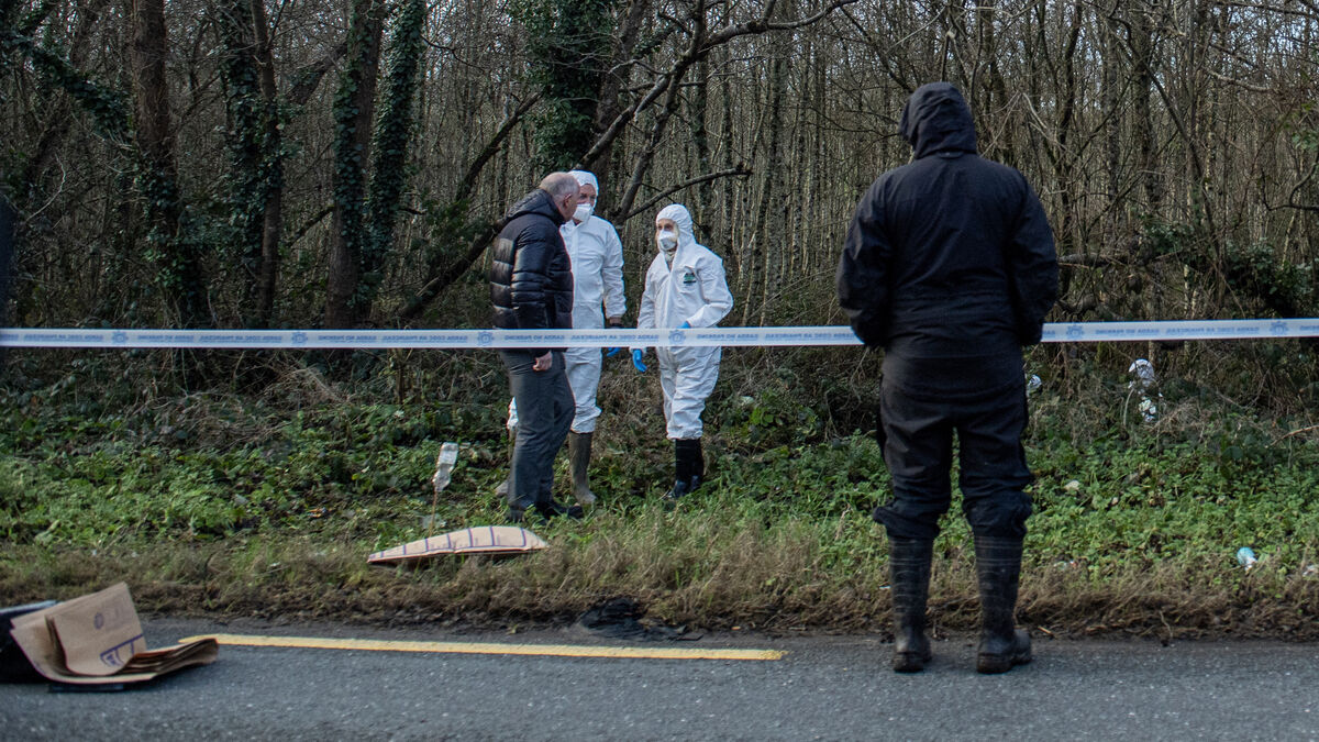 Gardaí investigating after skeletal remains found in East Cork - Vimarsana News