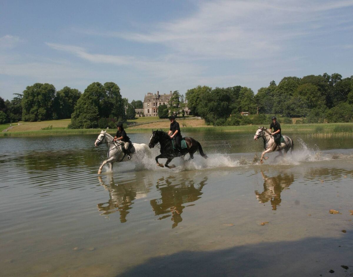 Riding horses at Castle Leslie, Co Monaghan. 