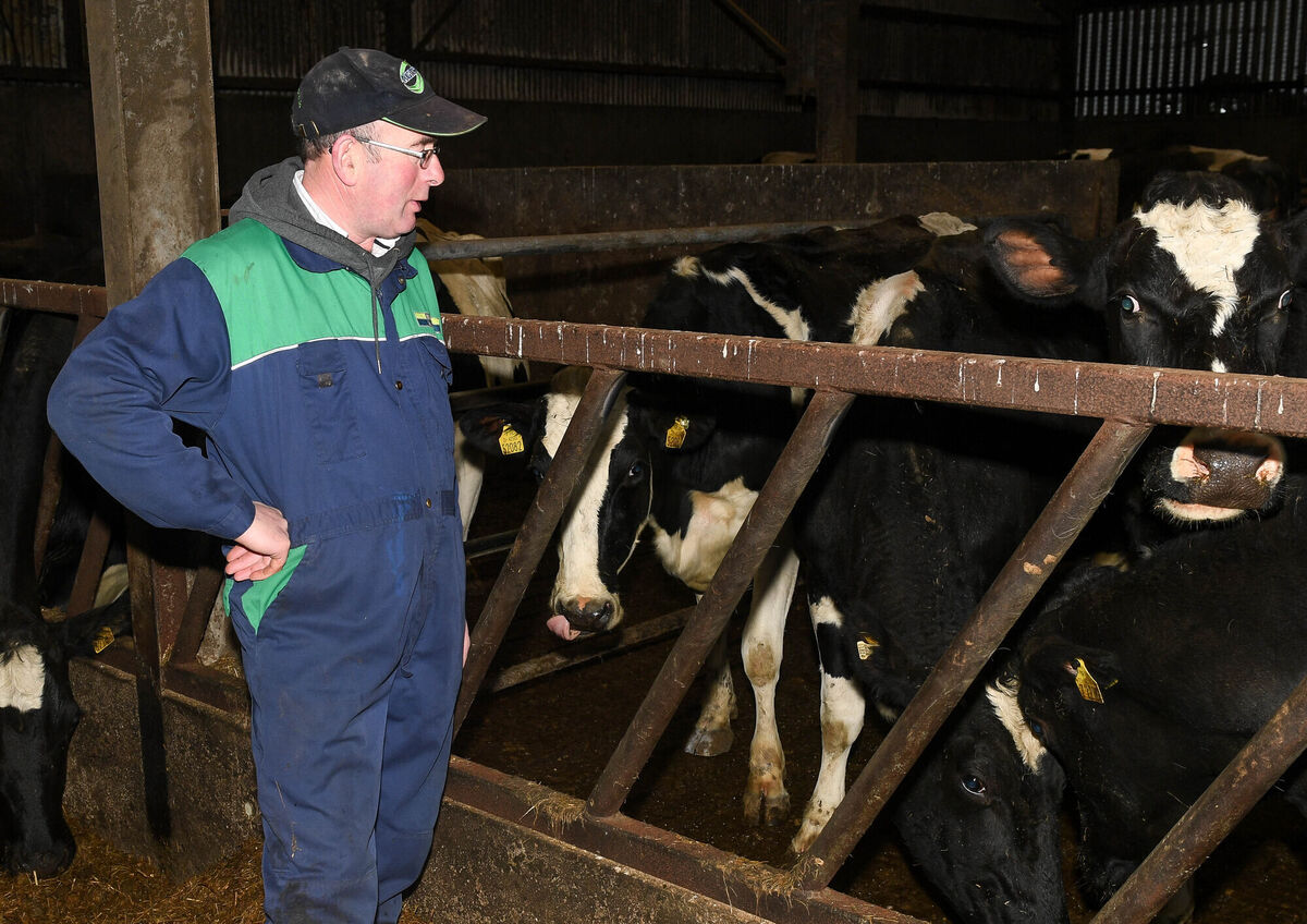  DJ Keohane on his farm in Timoleague, Co Cork. Picture: David Keane