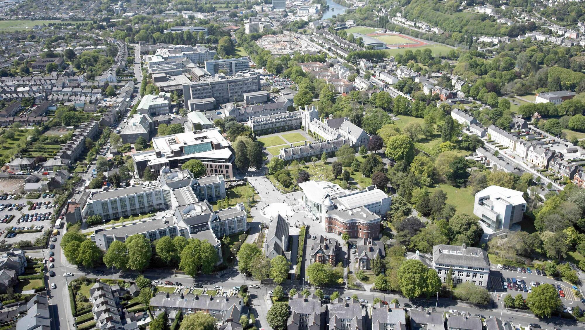 Doctors and doctorates shore up home values on Cork's College Road