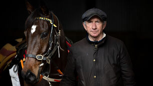 <p>
                <span class="contextmenu emphasis textWhite">ALL SET: Trainer Martin Brassil’s stable star Fastorslow gears up for a rematch with Galopin Des Champs in the Irish Gold Cup at the Dublin Racing Festival at Leopardstown today.Picture: Morgan Treacy</span>
            </p>