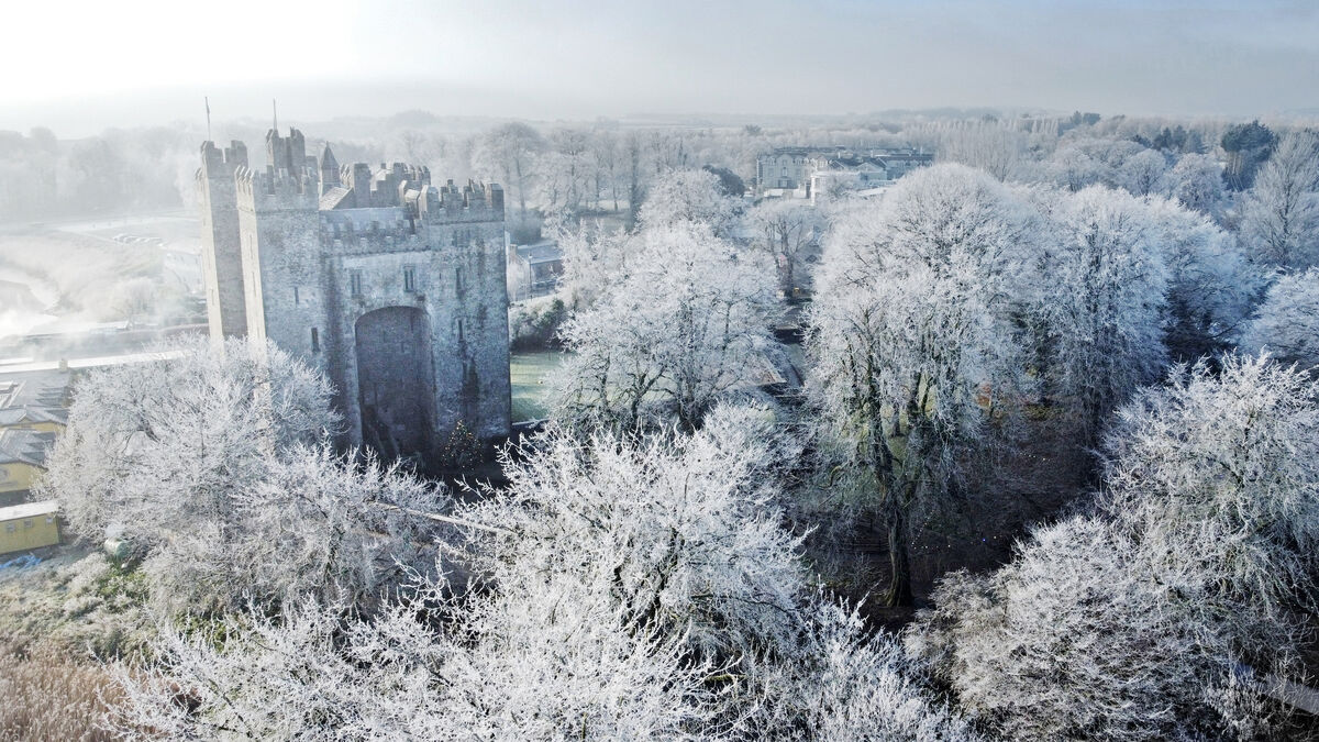 Bunratty Castle death still shrouded in mystery 40 years on - Vimarsana News