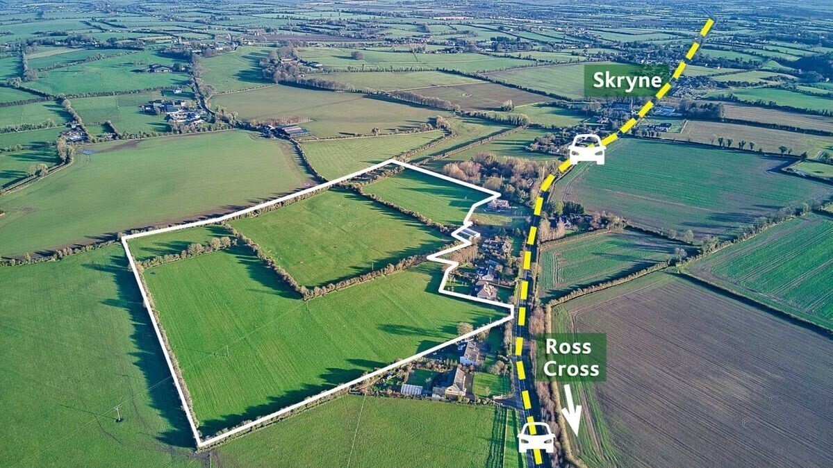 27-acre parcel of Meath grassland for March auction