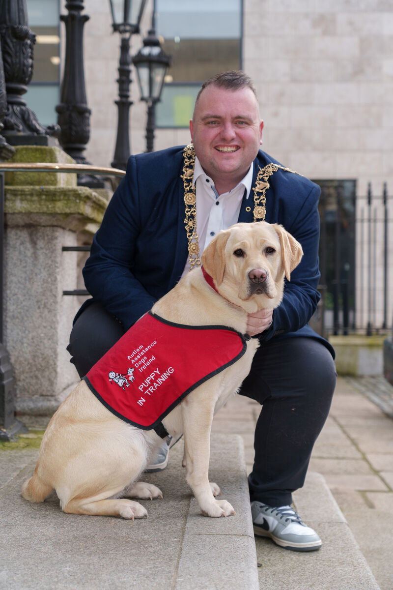 Lord Mayor of Dublin Cllr Daithí de Róiste with Kitty. Picture: Barry Cronin