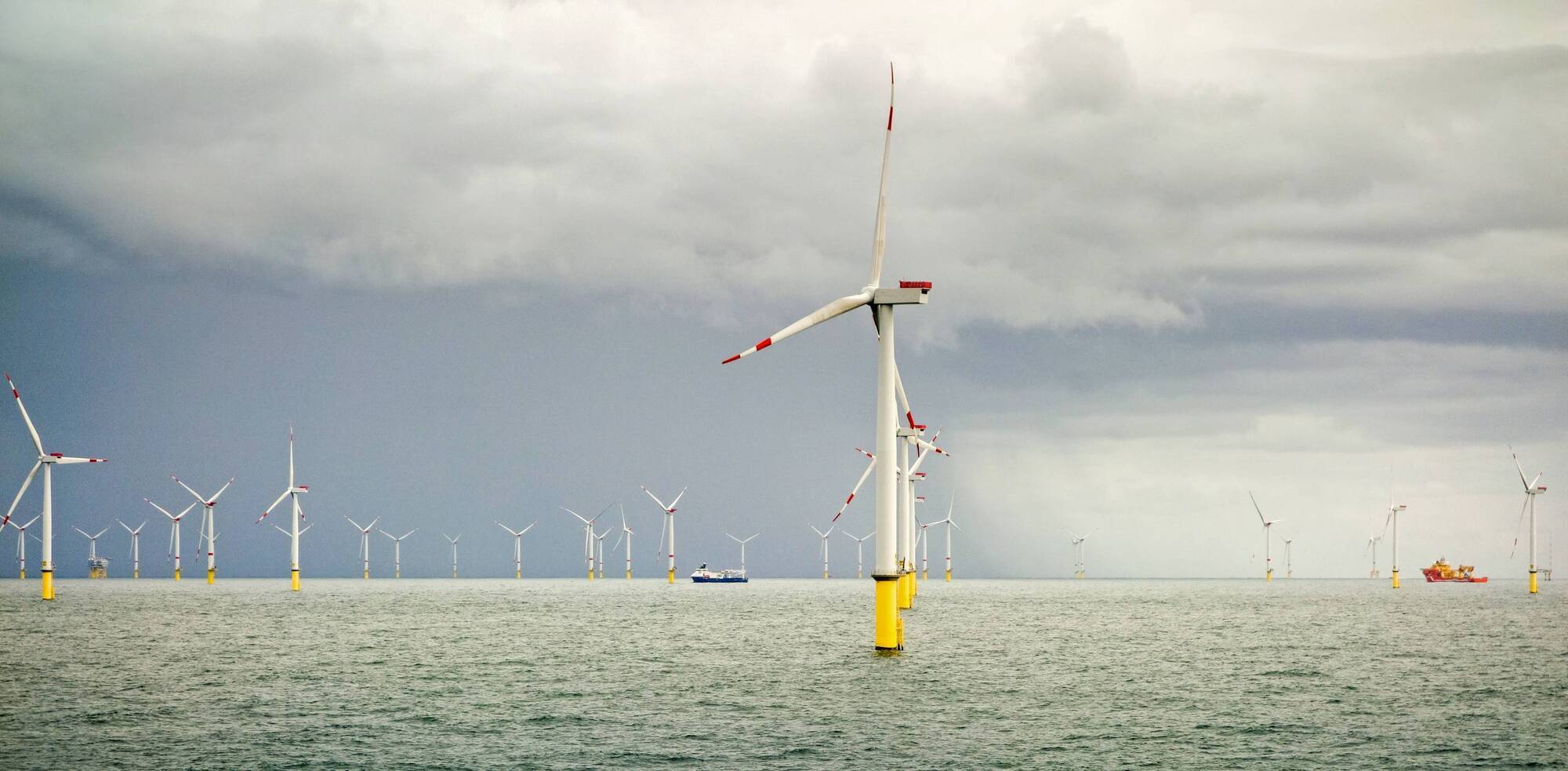 Wind power giants buffeted by write-downs and losses 