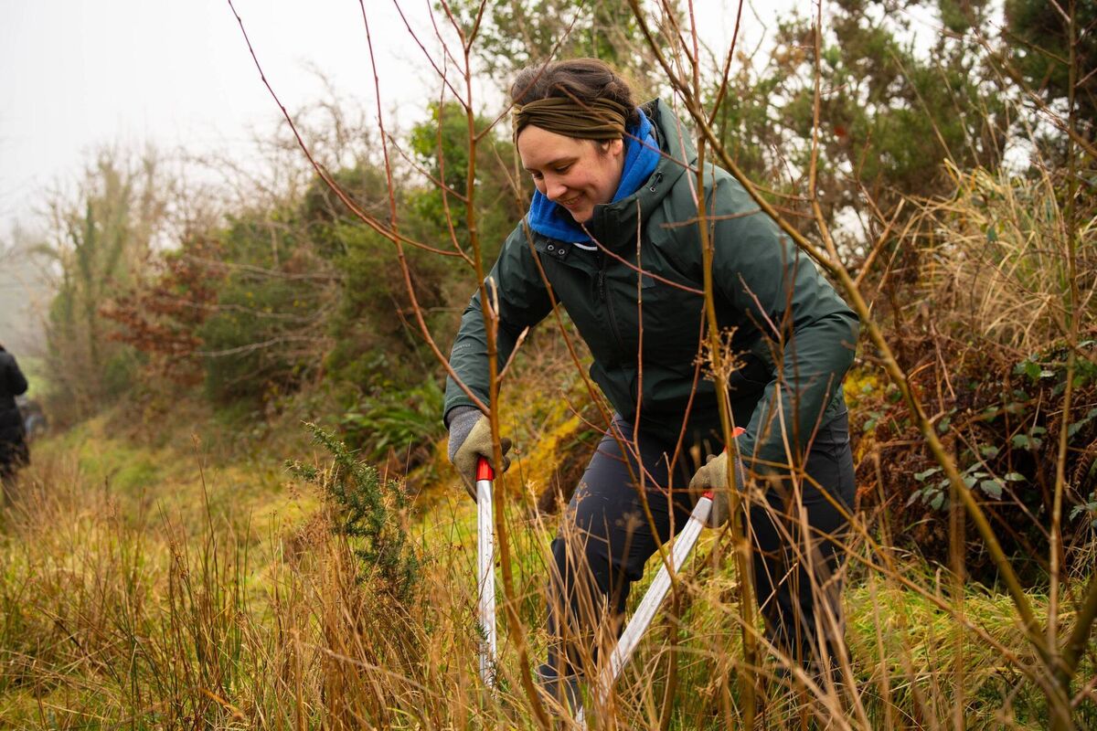 Green Sod Ireland: "Protecting land in our care – Wild Acres. Creating safe habitats, facilitating the free movement of wildlife, vital for biodiversity" Green Sod Ireland: "Protecting land in our care – Wild Acres. Creating safe habitats, facilitating the free movement of wildlife, vital for biodiversity"