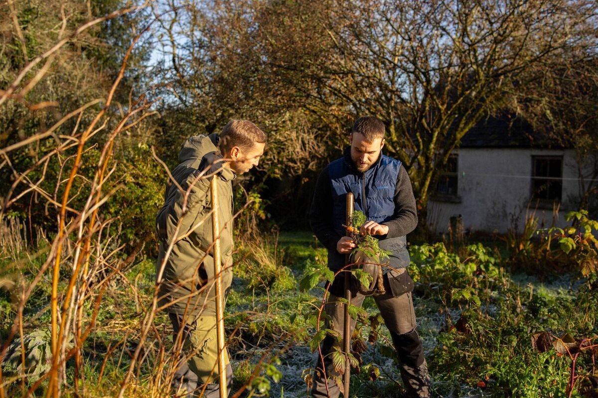 "Together we Hold this Land in Trust" — Green Sod Ireland "Together we Hold this Land in Trust" — Green Sod Ireland