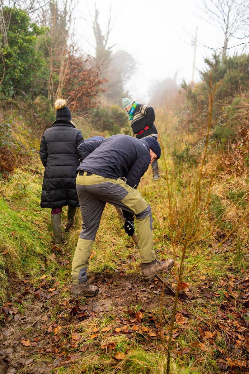 Green Sod Ireland works with local communities and volunteers to restore habitats and enhance biodiversity locally Green Sod Ireland works with local communities and volunteers to restore habitats and enhance biodiversity locally